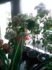 Pic_1008_843