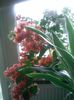 Pic_1008_846