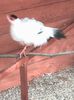 IMG_20140310_095457