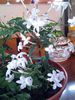20140310_085147