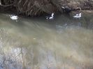 DSCN3459
