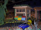 January_10_061.141212509_std