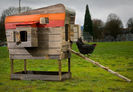 modern-coop-chicken-sustainable-reclaimed.jpg.492x0_q85_crop-smart