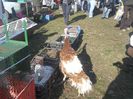 DSCN3870