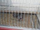 DSCN3882