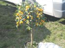 DSCN3982