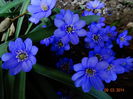 DSC01040
