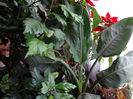 DSC00503