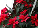 DSC00495