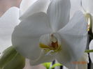 DSC00398
