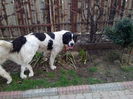 IMG_20140311_174510