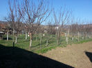 20140311_150549