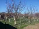 20140311_150558