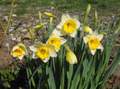DSCN0637_010