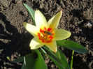 DSCN0640_013