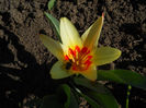DSCN0641_014