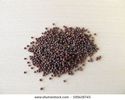 mustar negru-seminte