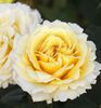 1282-web_1
