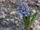 120320141660