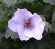 20140313_155727