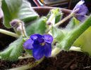 20140313_155623