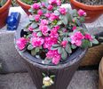 20140313_155706