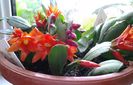 20140313_155515