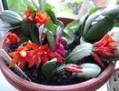 20140313_155507