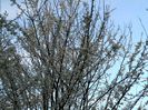 DSCN3824