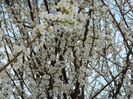 DSCN3826
