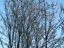 DSCN3827