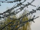 DSCN3828