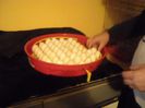 DSCN0070