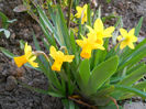 DSCN0660_019