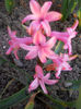 DSCN0662_021