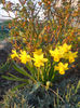 DSCN0664_023