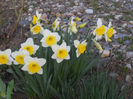 DSCN0667_026