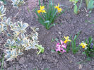 DSCN0668_027
