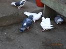 DSC00572