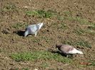 DSC00570