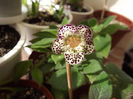 DSCF2757