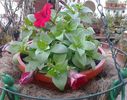 20140315_173008