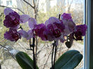DSCN0642_001