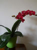 DSCN0646_005