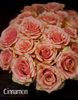 Cinnamon_Peach_Roses