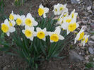 DSCN0681_004