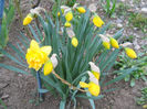 DSCN0682_005