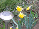 DSCN0685_008
