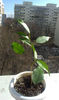 IMAG0254