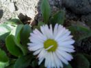 martie 003